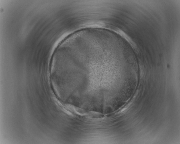 X0000076101240200610061658