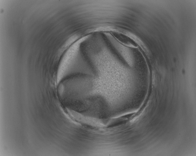 X0000076101241200610061658