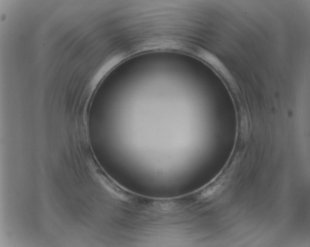 X0000076101242200610061658