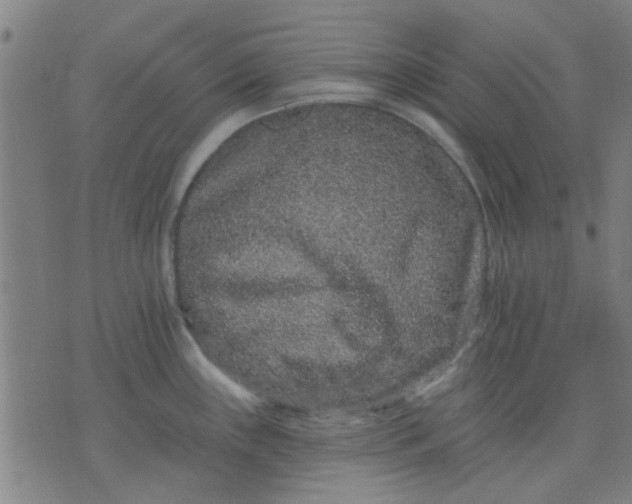 X0000076101243200610061659