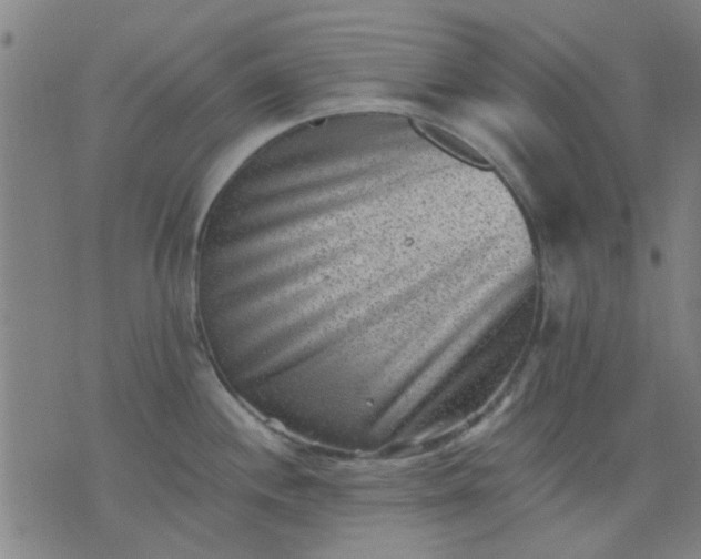 X0000076101244200610061659