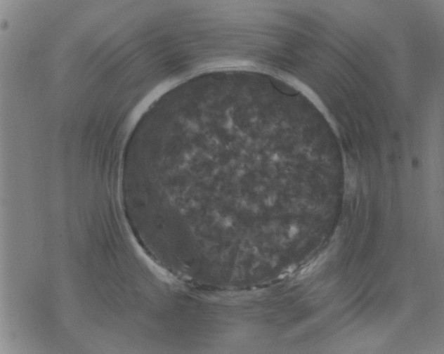 X0000076101245200610061659