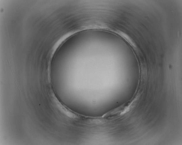 X0000076101246200610061659