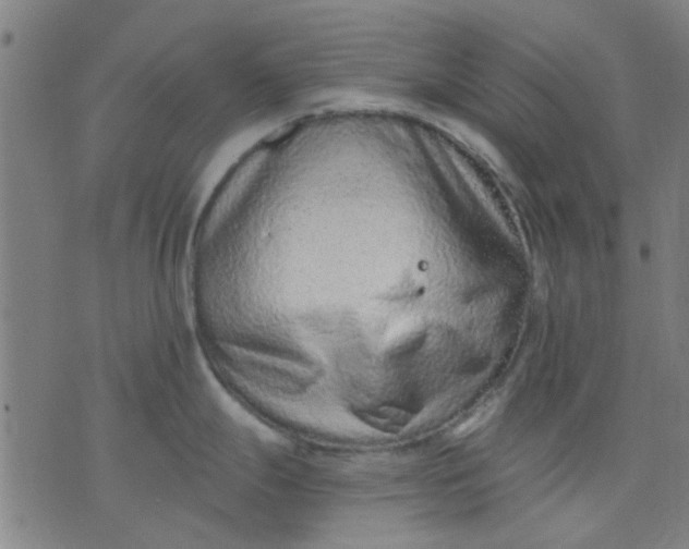 X0000076101247200610061659