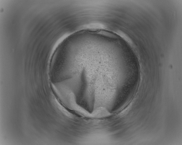 X0000076101248200610061659