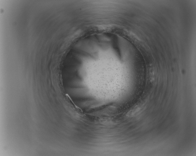 X0000076101249200610061658