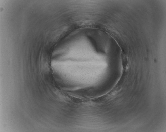 X0000076101250200610061658