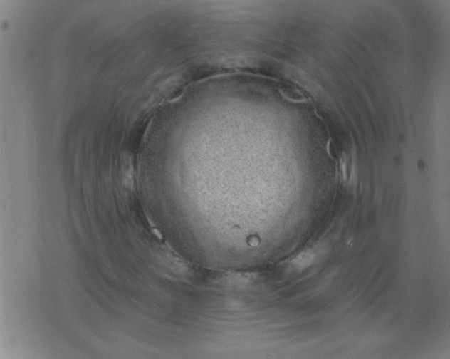 X0000076101251200610061658