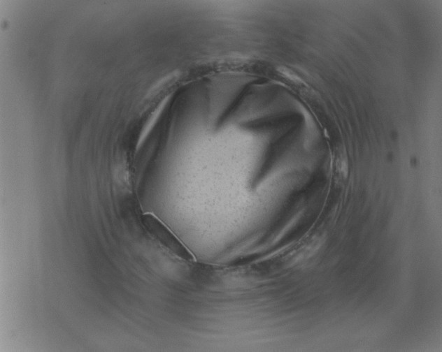 X0000076101252200610061658