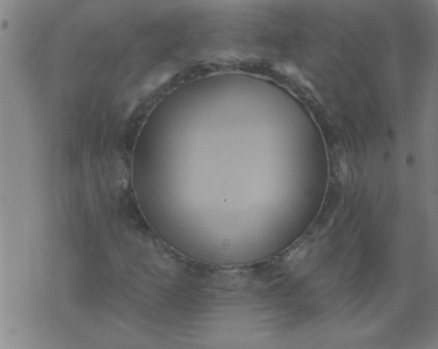 X0000076101253200610061658