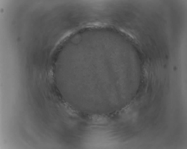 X0000076101254200610061658