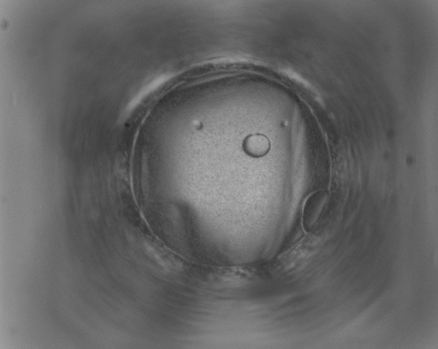 X0000076101255200610061658