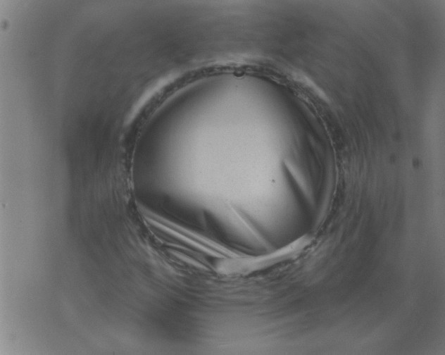 X0000076101256200610061658