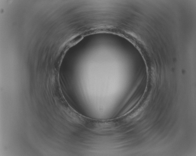 X0000076101257200610061658