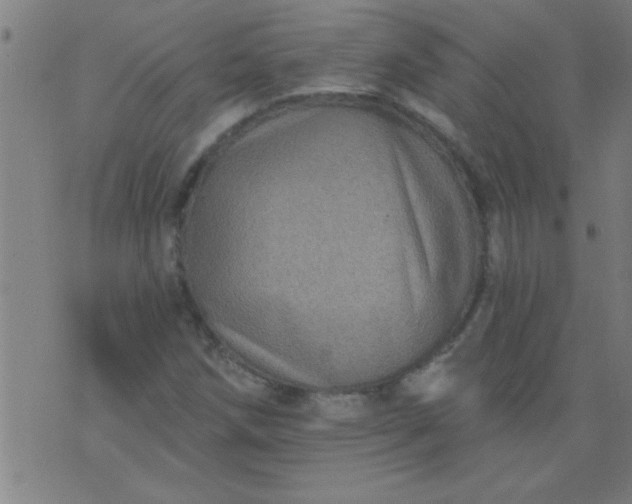 X0000076101258200610061658