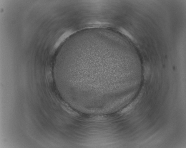 X0000076101259200610061658