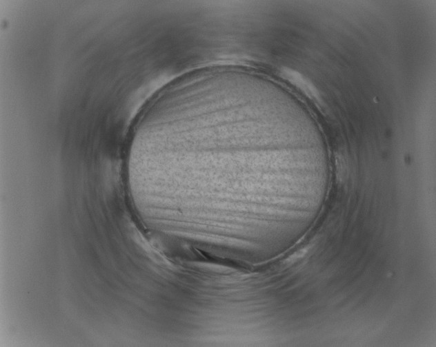 X0000076101260200610061658