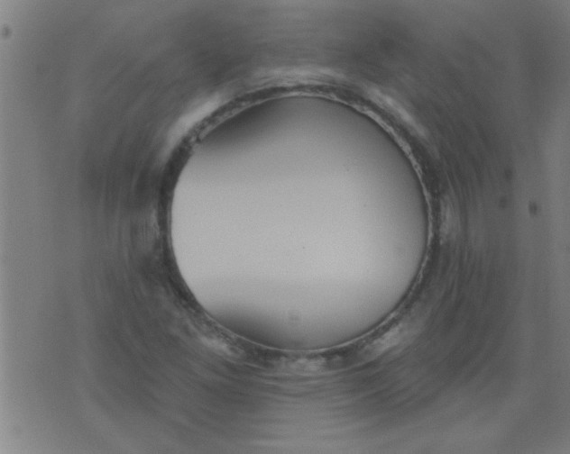 X0000076101261200610061658