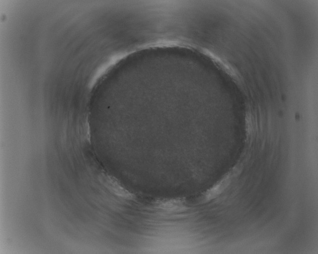 X0000076101262200610061658