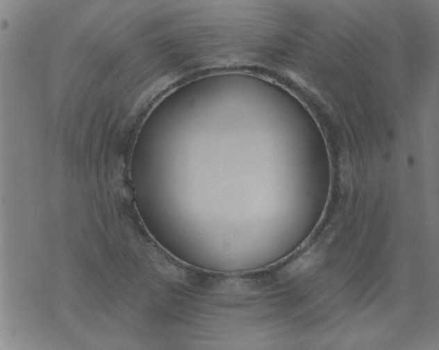 X0000076101265200610061658