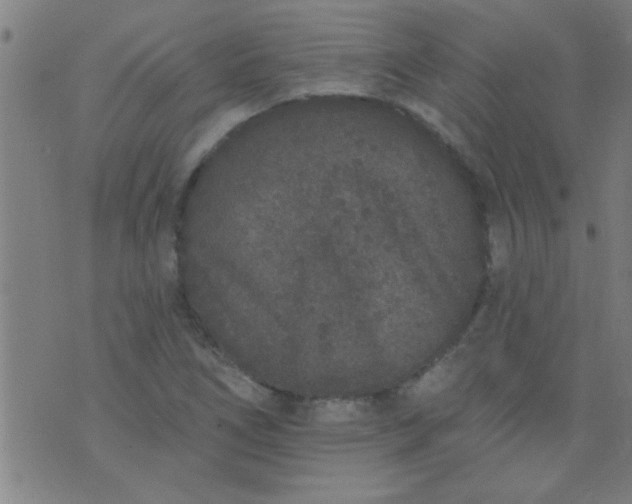 X0000076101266200610061658