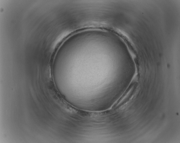 X0000076101267200610061658