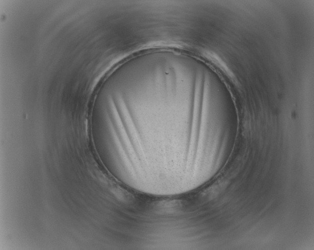 X0000076101268200610061657