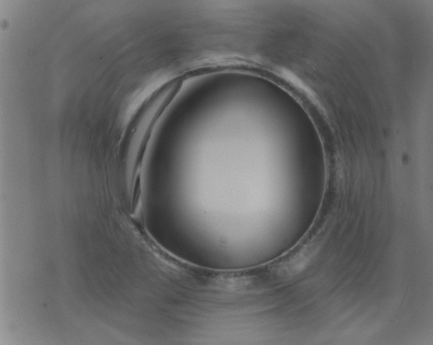 X0000076101269200610061657