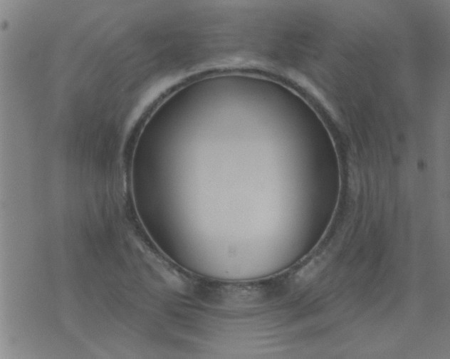 X0000076101270200610061657