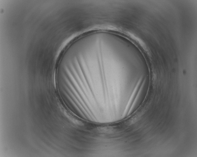 X0000076101272200610061657