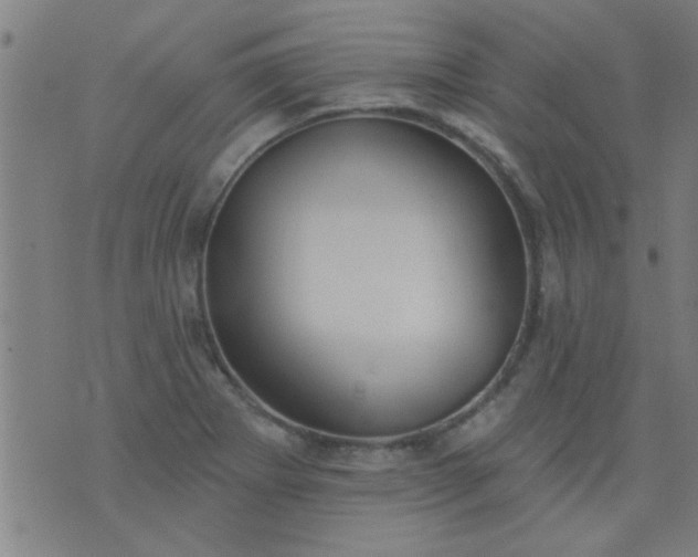 X0000076101273200610061657