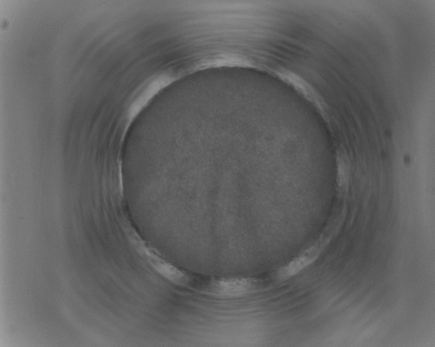 X0000076101274200610061657