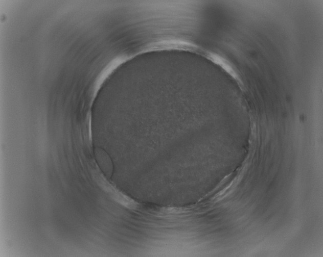 X0000076101275200610061657