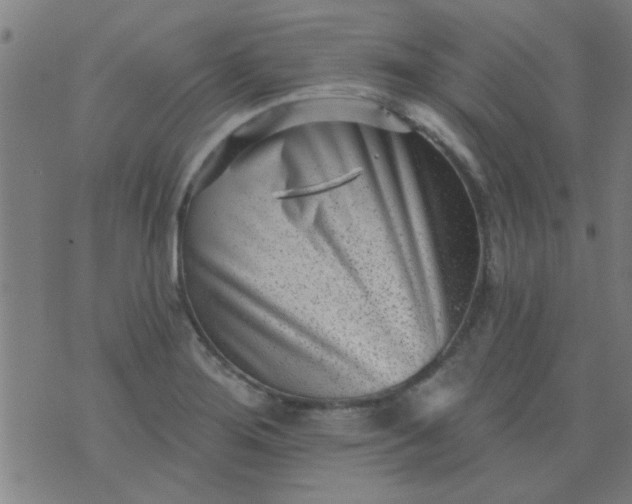 X0000076101276200610061657