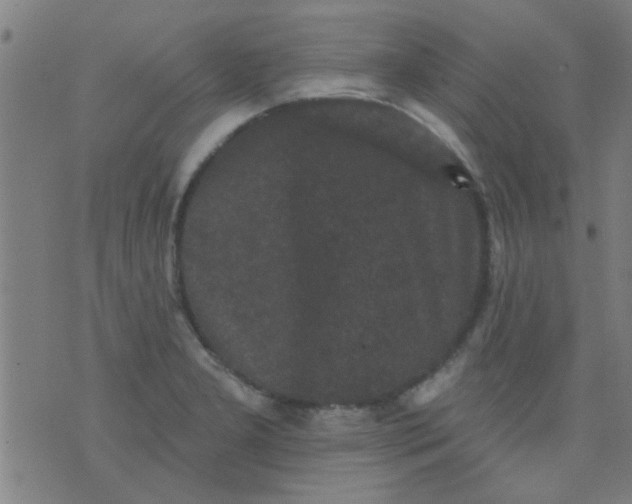 X0000076101277200610061657