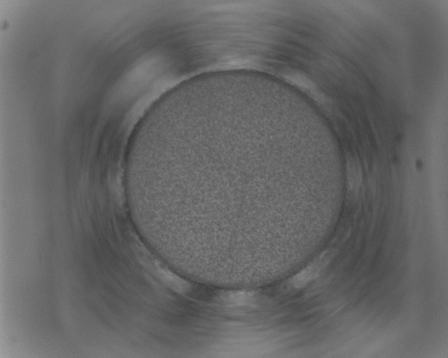 X0000076101278200610061657