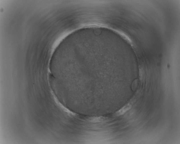 X0000076101279200610061657