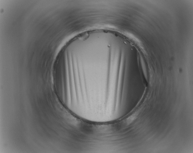 X0000076101280200610061657