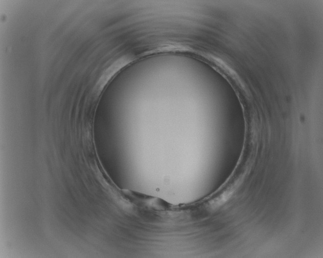 X0000076101281200610061657