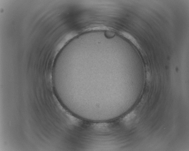 X0000076101282200610061657