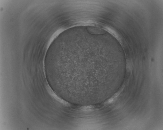 X0000076101283200610061657