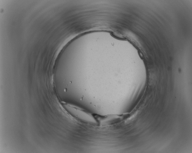 X0000076101284200610061657