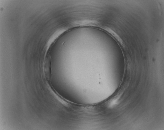 X0000076101285200610061657