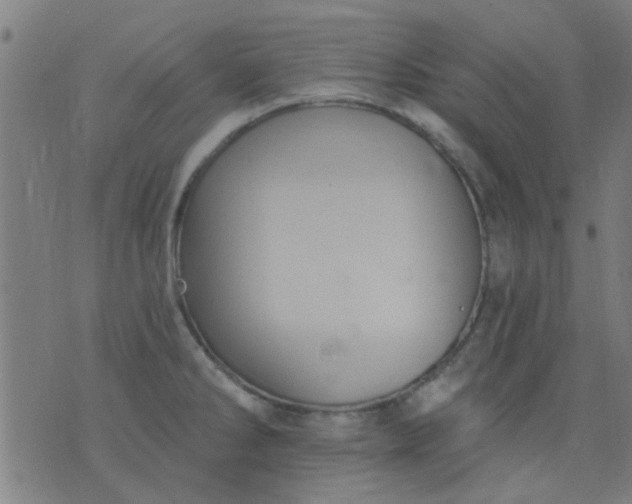 X0000076101286200610061657