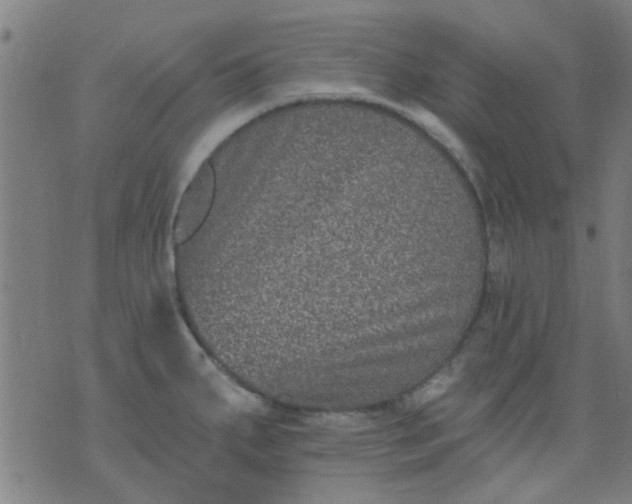 X0000076101287200610061657