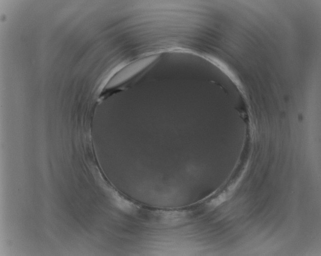 X0000076101289200610061657