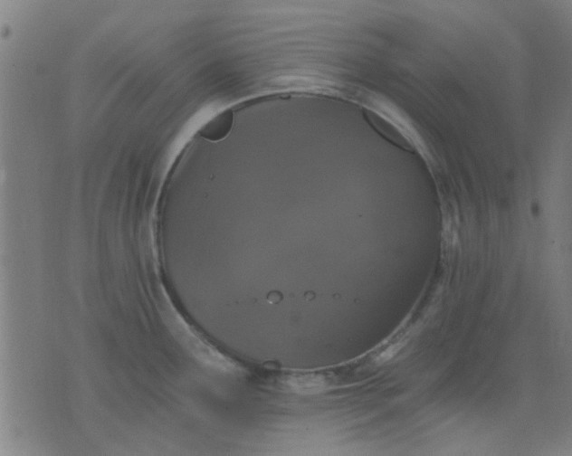 X0000076101291200610061657