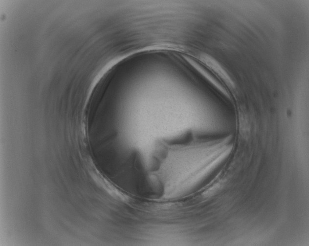 X0000076101292200610061657