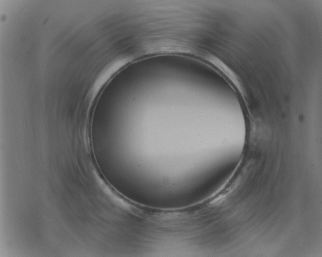 X0000076101293200610061657