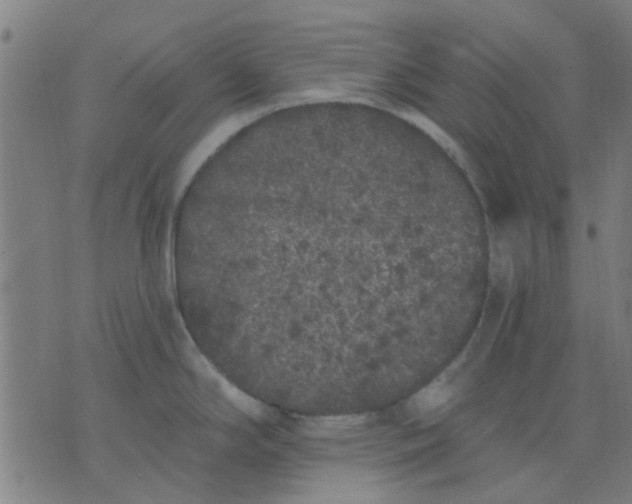 X0000076101294200610061657